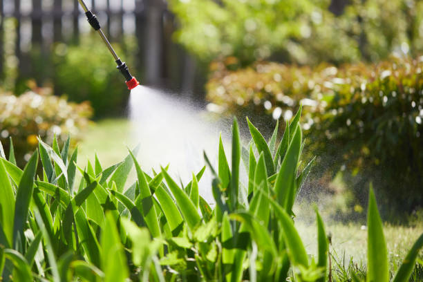 24/7 Emergency Cockroach Control experts in Grand Ledge, MI