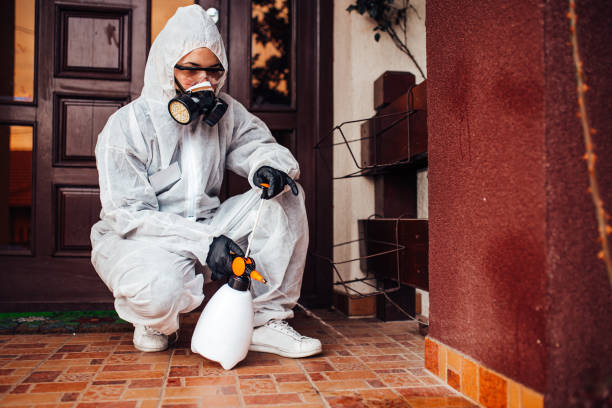 Reliable Cockroach Control contractor in Grand Ledge, MI by Nex Pest Control